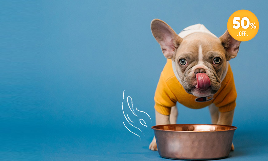 Nourriture pour chien